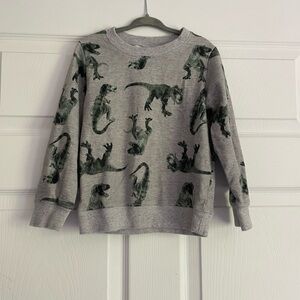 Gray 100% Cotton Dinosaur Print Lonfsleeve sweater shirt size 5T